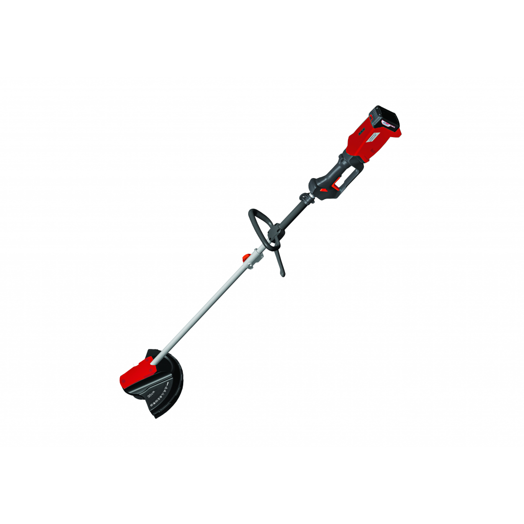 R20 Коса безчеткова акум. с нож и корда сгъваема 300mm 20V 2Ah 1h RDP-SBBC20 Set